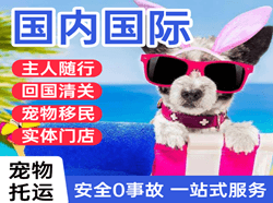 衡阳南岳航空快递国际宠物托运 【国